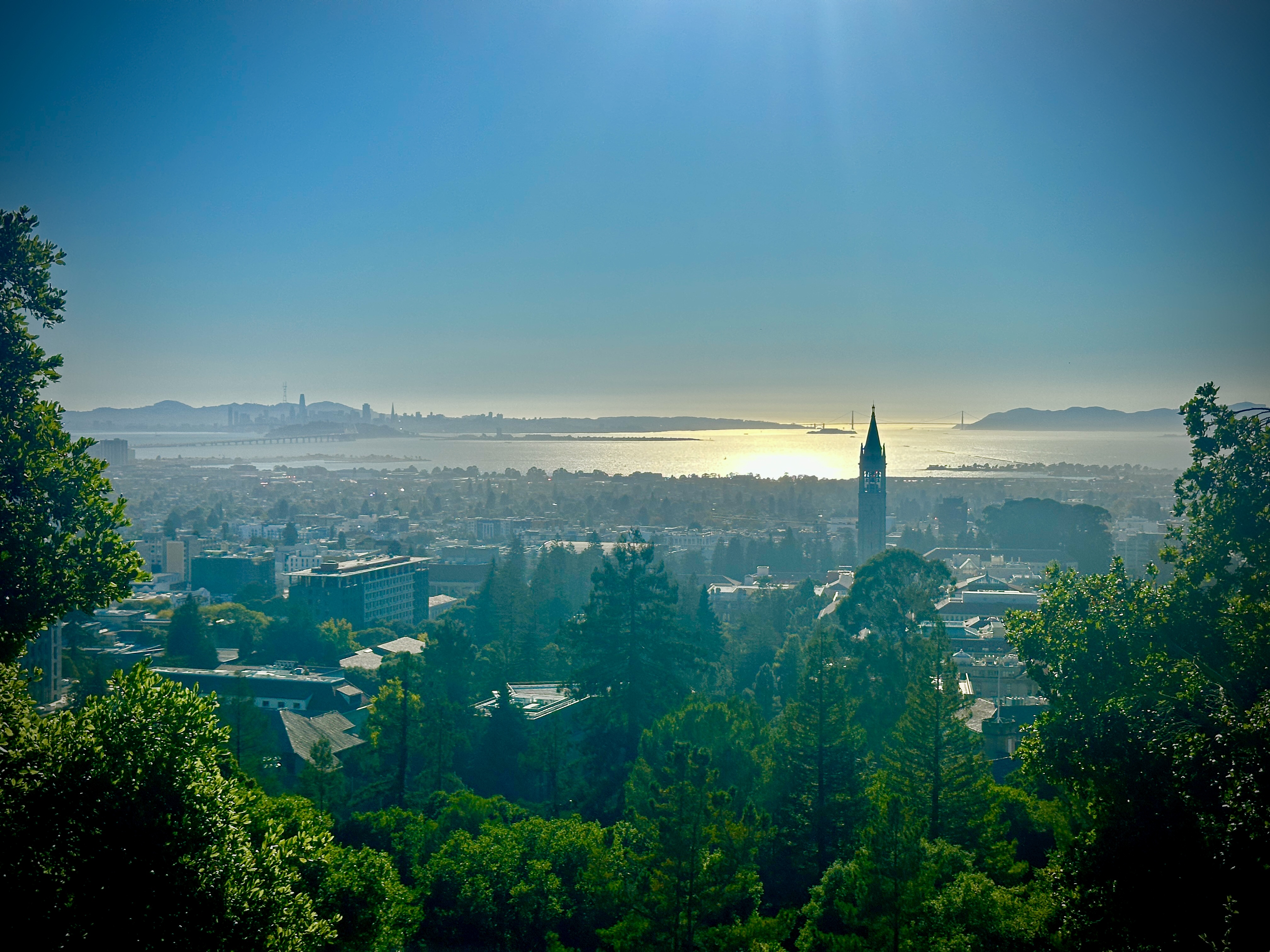 Berkeley View